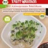 BIO-Keimsprossen Basilikum -Garten Flaire Verkaufsgeschäft duerr samen bio keimsprossen basilikum 1 paket 1675563 de