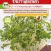 BIO-Keimsprossen Rotkohl -Garten Flaire Verkaufsgeschäft duerr samen bio keimsprossen rotkohl 1 paket 1675562 de