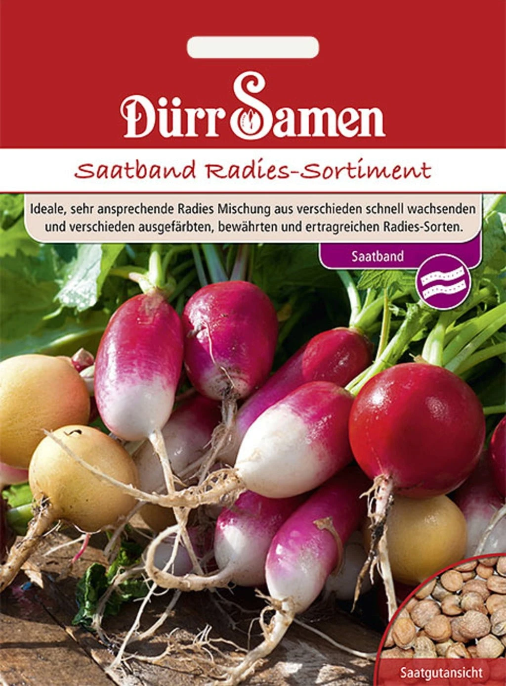 Saatband Radies-Sortiment 3 Saatband Radies-Sortiment