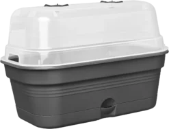 Elho Anzuchtschalen-Set Green Basics Allin1 - L, Living Schwarz -Garten Flaire Verkaufsgeschäft elho anzuchtschalen set green basics allin1 l nero 1407164 de