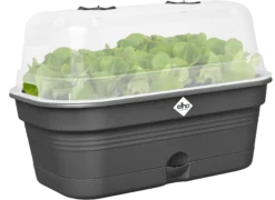 Elho Anzuchtschalen-Set Green Basics Allin1 - L, Living Schwarz -Garten Flaire Verkaufsgeschäft elho anzuchtschalen set green basics allin1 l nero 1407245 de