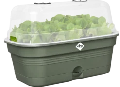 Elho Anzuchtschalen-Set Green Basics Allin1 - M, Laubgrün -Garten Flaire Verkaufsgeschäft elho anzuchtschalen set green basics allin1 m verde foglia 1404398 de