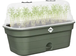 Elho Anzuchtschalen-Set Green Basics Allin1 - M, Laubgrün -Garten Flaire Verkaufsgeschäft elho anzuchtschalen set green basics allin1 m verde foglia 1404405 de