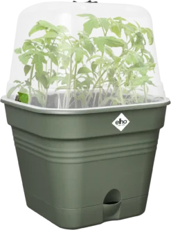 Elho Anzuchttopf Set Green Basics 20cm - Quadrat, Laubgrün 21 Elho Anzuchttopf Set Green Basics 20cm - Quadrat, Laubgrün -Garten Flaire Verkaufsgeschäft elho anzuchttopf set green basics 20cm quadrat verde foglia 1405685 de