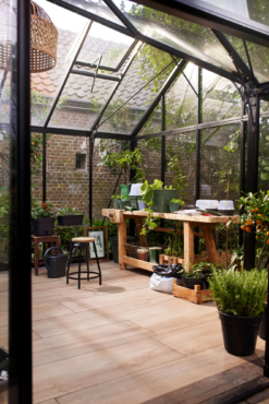 Elho Anzuchttopf Set Green Basics 20cm - Quadrat, Laubgrün 19 Elho Anzuchttopf Set Green Basics 20cm - Quadrat, Laubgrün -Garten Flaire Verkaufsgeschäft elho anzuchttopf set green basics 20cm quadrat verde foglia 1405824 de