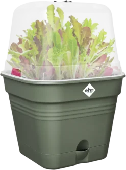 Elho Anzuchttopf Set Green Basics 25cm - Quadrat, Laubgrün -Garten Flaire Verkaufsgeschäft elho anzuchttopf set green basics 25cm quadrat verde foglia 1405773 de