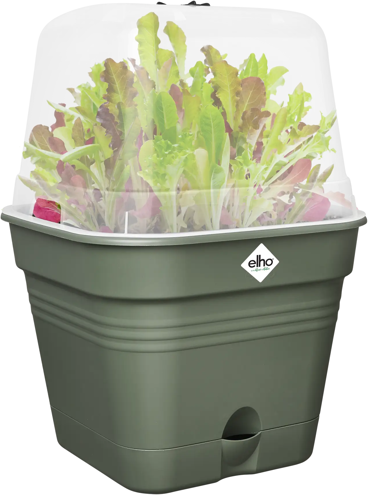 Elho Anzuchttopf Set Green Basics 30cm - Quadrat, Laubgrün 4 Elho Anzuchttopf Set Green Basics 30cm - Quadrat, Laubgrün - Image 2