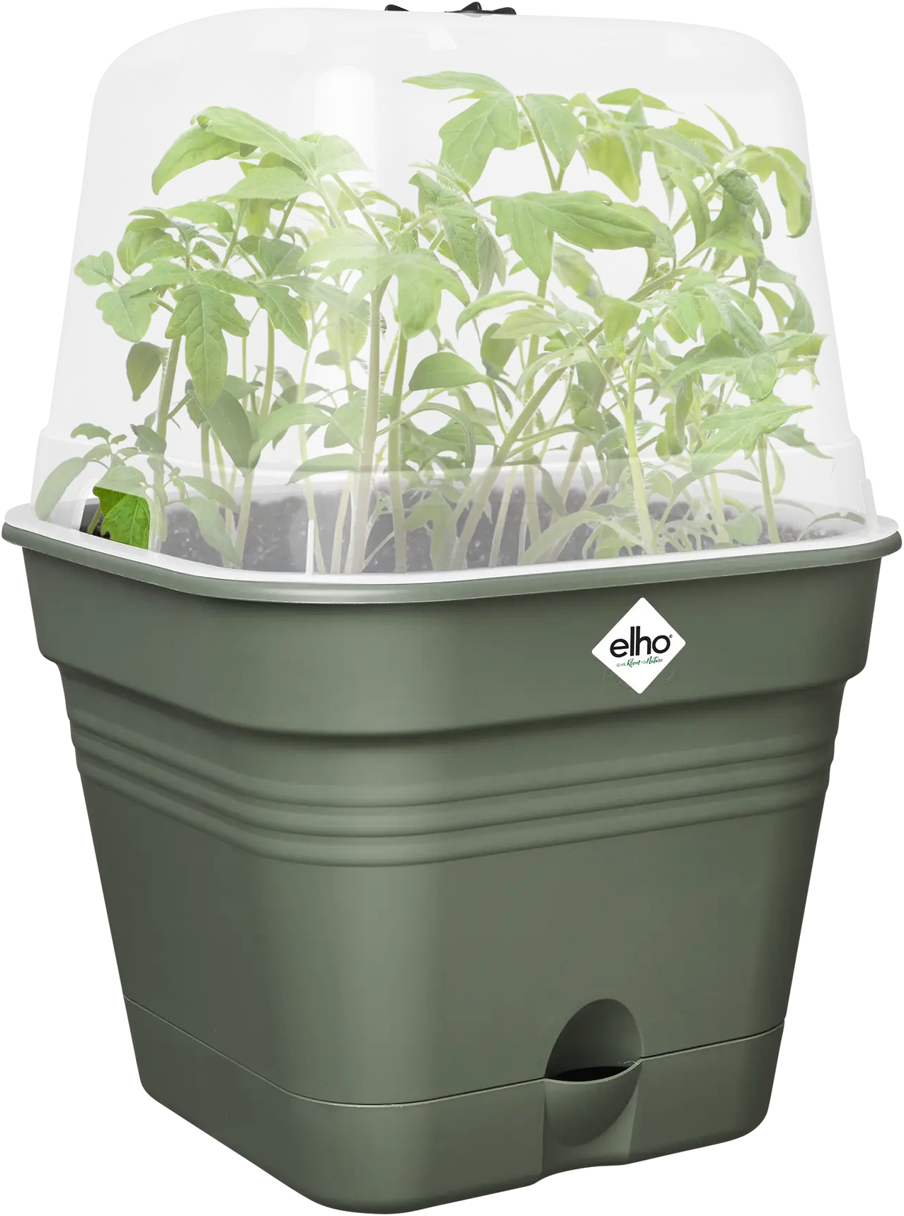 Elho Anzuchttopf Set Green Basics 30cm - Quadrat, Laubgrün 7 Elho Anzuchttopf Set Green Basics 30cm - Quadrat, Laubgrün - Image 5