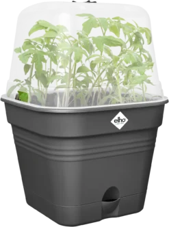 Elho Anzuchttopf Set Green Basics 35cm - Quadrat, Living Schwarz -Garten Flaire Verkaufsgeschäft elho anzuchttopf set green basics 35cm quadrat nero 1406678 de