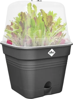Elho Anzuchttopf Set Green Basics 35cm - Quadrat, Living Schwarz -Garten Flaire Verkaufsgeschäft elho anzuchttopf set green basics 35cm quadrat nero 1406719 de