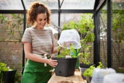 Elho Anzuchttopf Set Green Basics 35cm - Quadrat, Living Schwarz -Garten Flaire Verkaufsgeschäft elho anzuchttopf set green basics 35cm quadrat nero 1406733 de