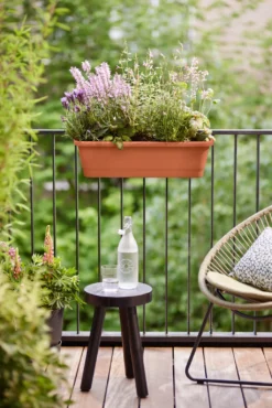 Elho Balkonkasten - Noa L, Terra -Garten Flaire Verkaufsgeschäft elho balkonkasten noa l terra 1688090 de