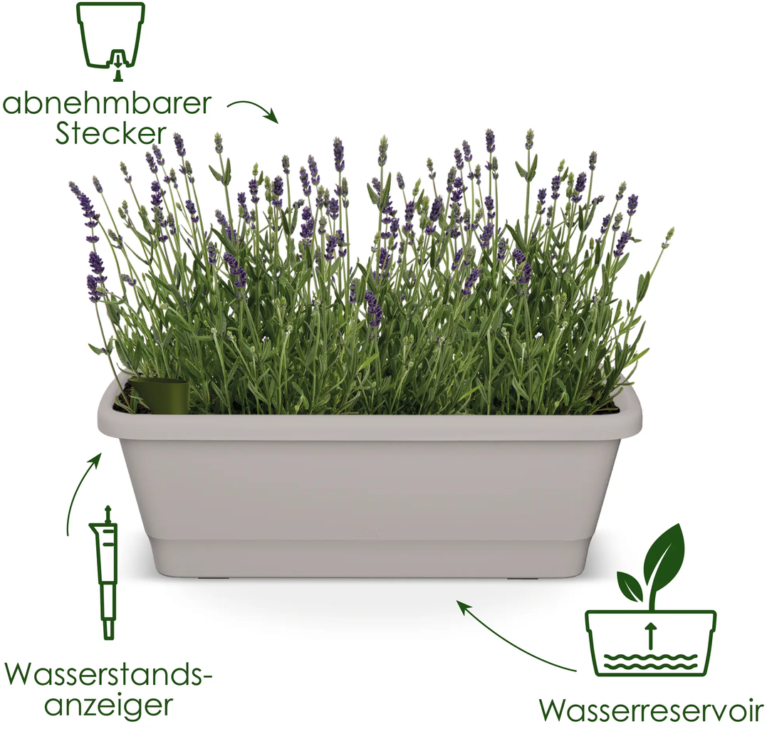 Elho Balkonkasten - Noa M, Living Schwarz 4 Elho Balkonkasten - Noa M, Living Schwarz - Image 2