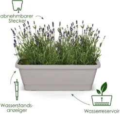 Elho Balkonkasten - Noa XL, Living Schwarz 12 Elho Balkonkasten - Noa XL, Living Schwarz -Garten Flaire Verkaufsgeschäft elho balkonkasten noa xl living schwarz 1687966 de