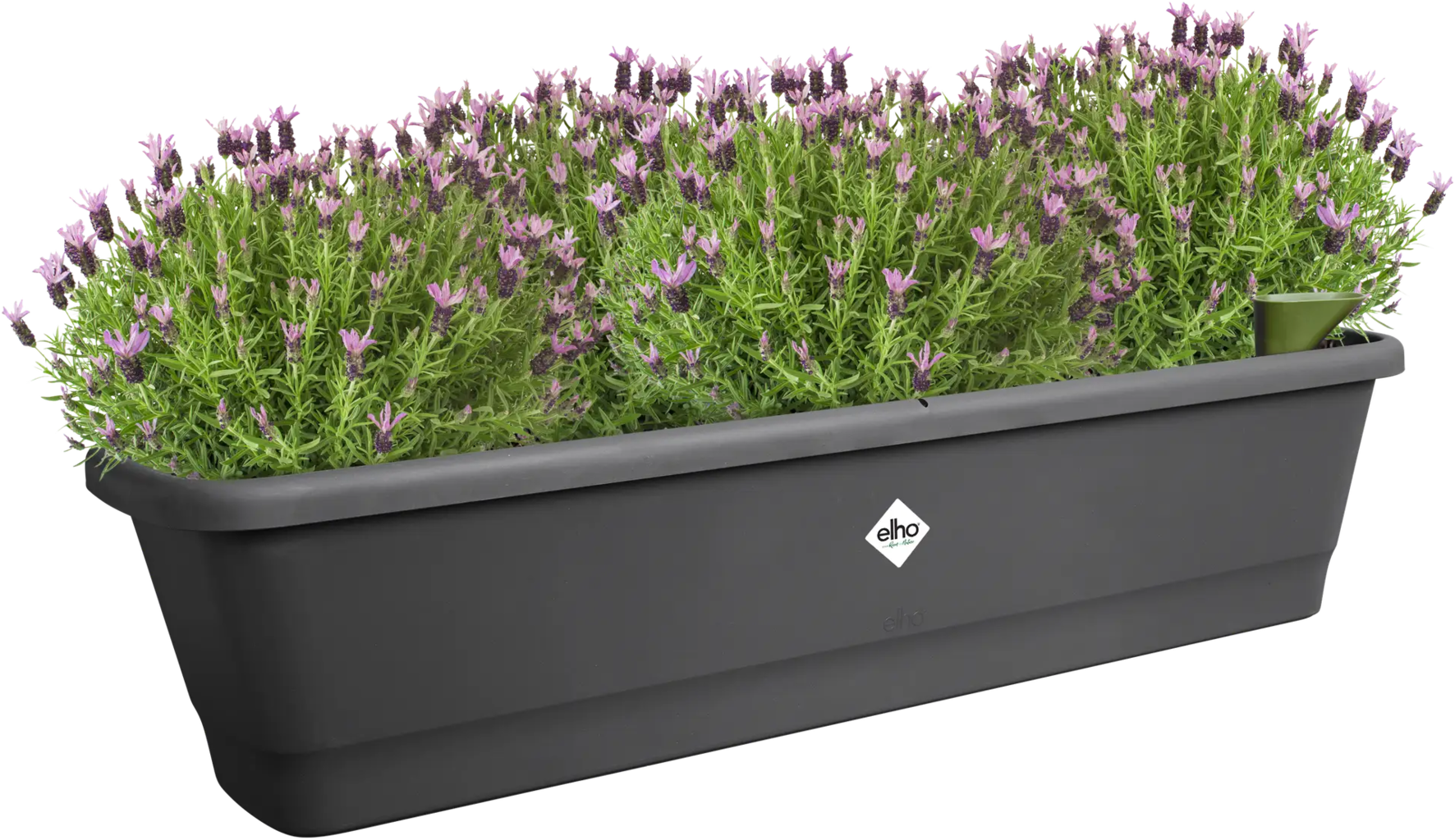 Elho Balkonkasten - Noa XL, Living Schwarz 4 Elho Balkonkasten - Noa XL, Living Schwarz - Image 2