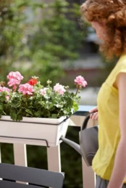 Elho Barcelona Allin1 50 Cm, Anthrazit -Garten Flaire Verkaufsgeschäft elho barcelona allin1 50 cm 1662808 de