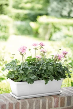 Elho Barcelona Balkonkasten 40 Cm, Weiss 10 Elho Barcelona Balkonkasten 40 Cm, Weiss -Garten Flaire Verkaufsgeschäft elho barcelona balkonkasten 40 cm vit 1598776 de