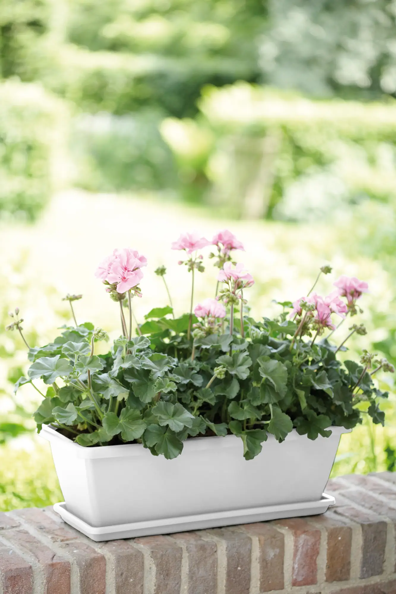 Elho Barcelona Balkonkasten 40 Cm, Weiss 5 Elho Barcelona Balkonkasten 40 Cm, Weiss - Image 3