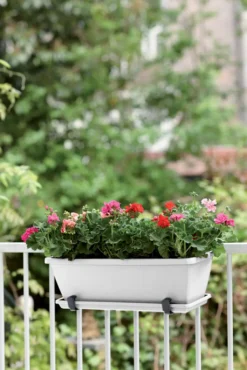 Elho Barcelona Balkonkasten 40 Cm, Weiss 13 Elho Barcelona Balkonkasten 40 Cm, Weiss -Garten Flaire Verkaufsgeschäft elho barcelona balkonkasten 40 cm vit 1667188 de