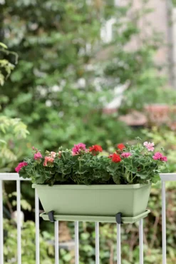 Elho Barcelona Balkonkasten 50 Cm, Pistazien Grün -Garten Flaire Verkaufsgeschäft elho barcelona balkonkasten 50 cm pistaschgroen 1667233 de