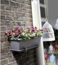 Elho Barcelona Balkonkasten 70 Cm, Anthrazit -Garten Flaire Verkaufsgeschäft elho barcelona balkonkasten 70cm 631636 de