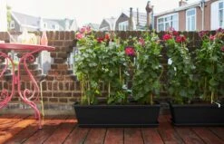 Elho Barcelona Balkonkasten 90 Cm, Anthrazit -Garten Flaire Verkaufsgeschäft elho barcelona balkonkasten 90 cm antracit 1662811 de