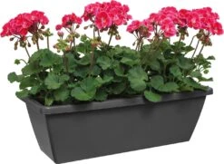 Elho Barcelona Balkonkasten 90 Cm, Anthrazit -Garten Flaire Verkaufsgeschäft elho barcelona balkonkasten 90 cm antracit 1667242 de