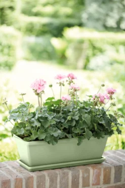 Elho Barcelona Balkonkasten Untersetzer 50 Cm, Pistazien Grün -Garten Flaire Verkaufsgeschäft elho barcelona balkonkasten untersetzer 50 cm pistazien gruen 1599371 de