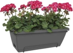 Elho Barcelona Xl Allin1 55 Cm, Anthrazit -Garten Flaire Verkaufsgeschäft elho barcelona xl allin1 55 cm 1669199 de