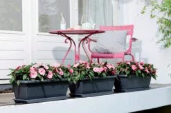 Elho Barcelona Xl Untersetzer 60 Cm, Weiss 10 Elho Barcelona Xl Untersetzer 60 Cm, Weiss -Garten Flaire Verkaufsgeschäft elho barcelona xl untersetzer 60 cm 1669232 de