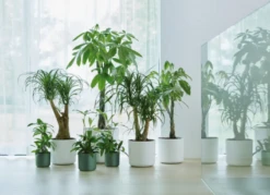 Elho B.for Soft Rund Laubgrün, Ø 18 Cm -Garten Flaire Verkaufsgeschäft elho bfor soft rund laubgruen 1671526 de