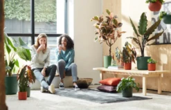 Elho B.for Soft Rund Laubgrün, Ø 18 Cm -Garten Flaire Verkaufsgeschäft elho bfor soft rund laubgruen 1671528 de