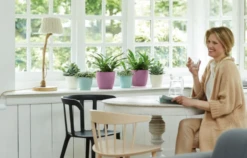 Elho Brussels Rund 14 Cm, Weiß 14 Elho Brussels Rund 14 Cm, Weiß -Garten Flaire Verkaufsgeschäft elho brussels rund 14 cm lila 1671689 de