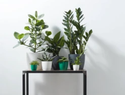 Elho Brussels Rund 14 Cm, Weiß 12 Elho Brussels Rund 14 Cm, Weiß -Garten Flaire Verkaufsgeschäft elho brussels rund 14 cm vit 1671677 de