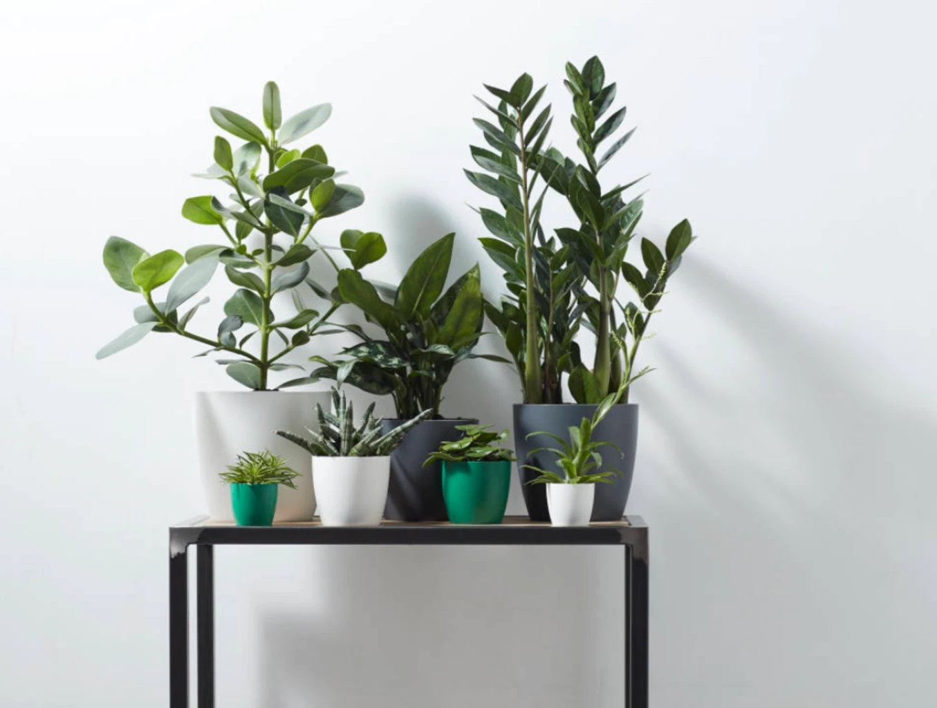 Elho Brussels Rund 14 Cm, Weiß 5 Elho Brussels Rund 14 Cm, Weiß – Bild 3