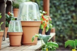 Elho Green Basics Anzucht Haus Rund, 30 Cm -Garten Flaire Verkaufsgeschäft elho green basics anzucht haus rund 1666625 de