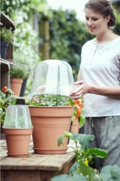 Elho Green Basics Anzucht Haus Rund, 30 Cm -Garten Flaire Verkaufsgeschäft elho green basics anzucht haus rund 1666627 de