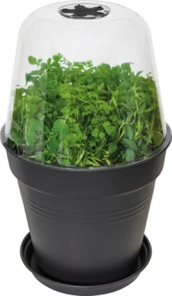 Elho Green Basics Anzucht Haus Rund, 30 Cm -Garten Flaire Verkaufsgeschäft elho green basics anzucht haus rund 1666630 de