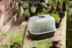 Elho Green Basics Anzucht-Set - Schwarz -Garten Flaire Verkaufsgeschäft elho green basics anzucht set schwarz velikost s 1684730 de