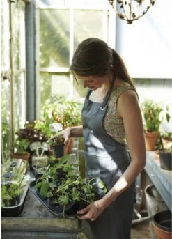 Elho Green Basics Anzucht-Untersetzer S, Lebhaft Schwarz -Garten Flaire Verkaufsgeschäft elho green basics anzucht untersetzer 626210 de