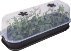 Elho Green Basics Anzuchthaus-Set L -Garten Flaire Verkaufsgeschäft elho green basics anzuchthaus set l crna 1168127 de