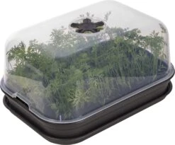 Elho Green Basics Anzuchthaus-Set M