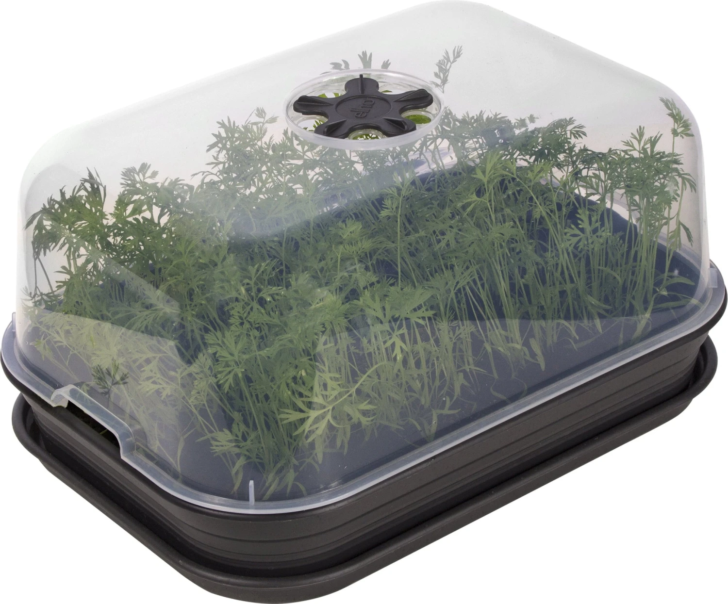 Elho Green Basics Anzuchthaus-Set M 3 Elho Green Basics Anzuchthaus-Set M