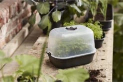 Elho Green Basics Anzuchthaus-Set S -Garten Flaire Verkaufsgeschäft elho green basics anzuchthaus set s 1677524 de