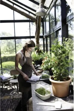 Elho Green Basics Anzuchthaus-Set S -Garten Flaire Verkaufsgeschäft elho green basics anzuchthaus set s 1677525 de