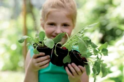 Elho Green Basics Anzuchttopf Starter Set, 10 Stück -Garten Flaire Verkaufsgeschäft elho green basics anzuchttopf starter set 1588332 de