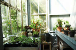 Elho Green Basics Anzuchttopf Starter Set, 10 Stück -Garten Flaire Verkaufsgeschäft elho green basics anzuchttopf starter set 1588334 de