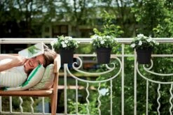 Elho Green Basics Easy Hängetopf, Lebhaft Schwarz 10 Elho Green Basics Easy Hängetopf, Lebhaft Schwarz -Garten Flaire Verkaufsgeschäft elho green basics easy haengetopf popolna crna 1268218 de