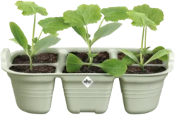 Elho Green Basics Saatschale 22 Cm -Garten Flaire Verkaufsgeschäft elho green basics saatschale 22 cm 1683669 de