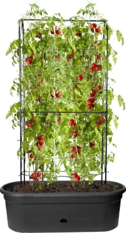 Elho Green Basics Veggie Wall 80 Cm -Garten Flaire Verkaufsgeschäft elho green basics veggie wall 80 cm 1 st 1662791 de